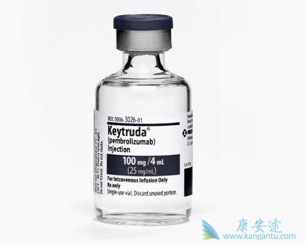 派姆单抗 派姆单抗