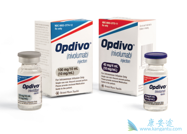 纳武利尤单抗注射液 纳武利尤单抗注射液