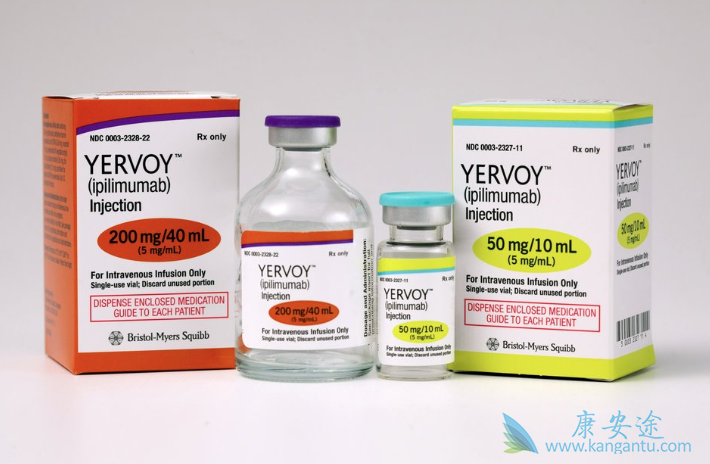 Car-T细胞 Car-T细胞