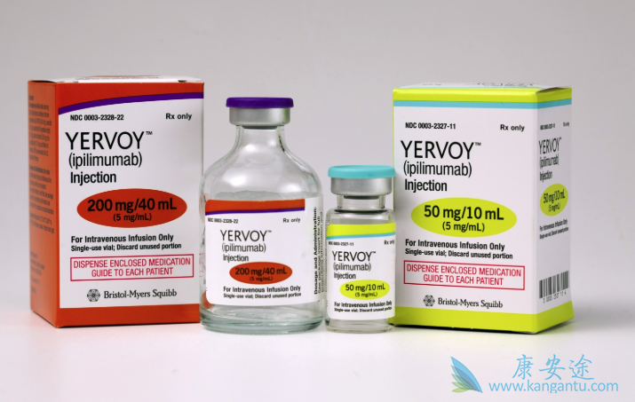 免疫检查点抑制剂 免疫检查点抑制剂