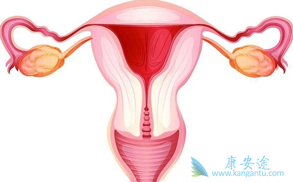 输卵管癌 输卵管癌