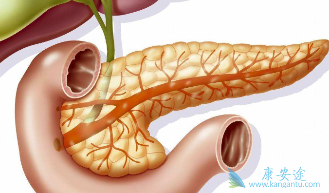 胰腺癌治疗 胰腺癌治疗