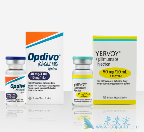 纳武利尤单抗 纳武利尤单抗