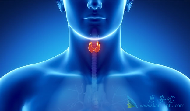 甲状腺癌的早期症状 甲状腺癌的早期症状