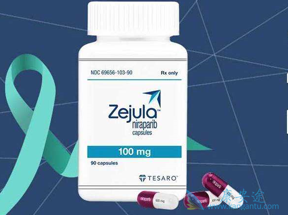 尼拉帕尼 尼拉帕尼