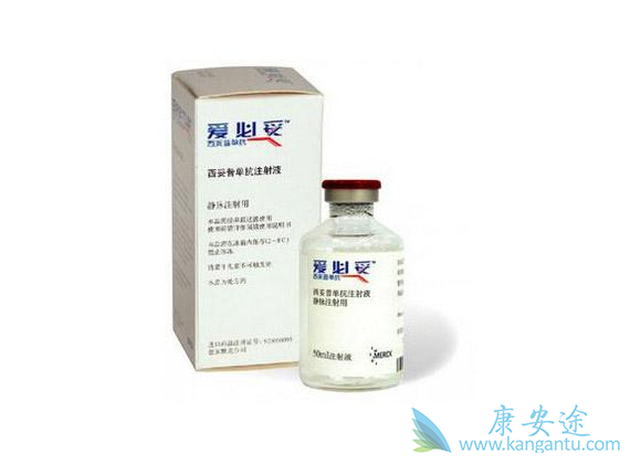西妥昔单抗 西妥昔单抗