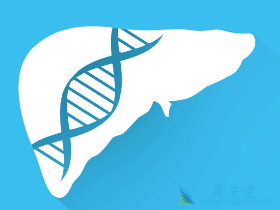 丙肝的传播途径 丙肝的传播途径