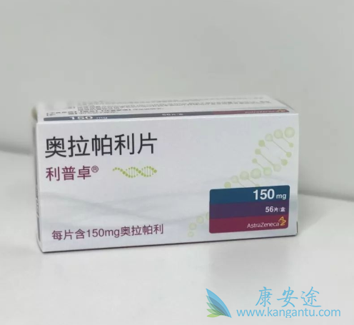 PARP抑制剂 PARP抑制剂