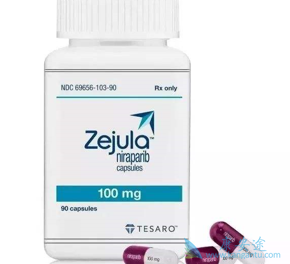 尼拉帕尼 尼拉帕尼