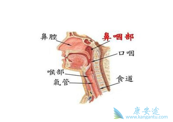 鼻咽癌治疗 鼻咽癌治疗