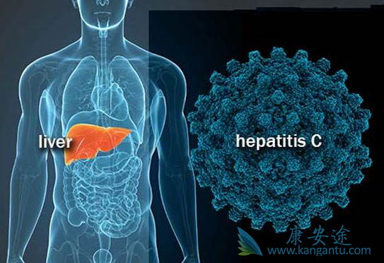 丙肝的危害 丙肝的危害