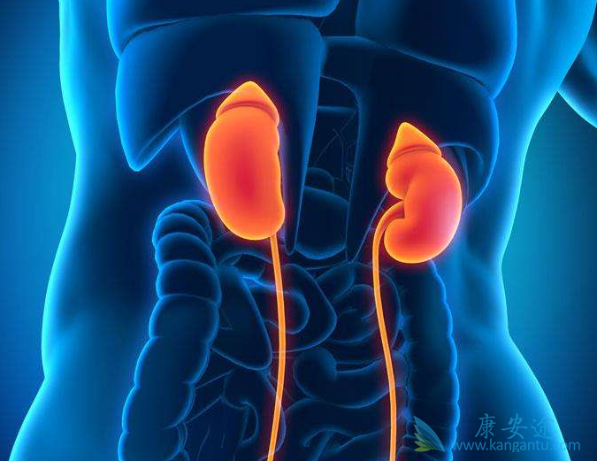 肾癌转移 肾癌转移