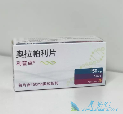 PARP抑制剂 PARP抑制剂