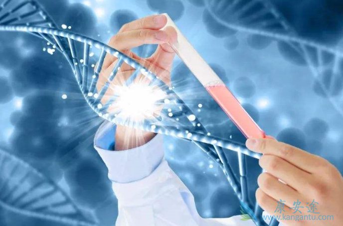 海外医疗 海外医疗