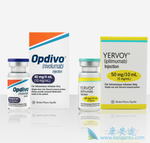 免疫检查点抑制剂 免疫检查点抑制剂