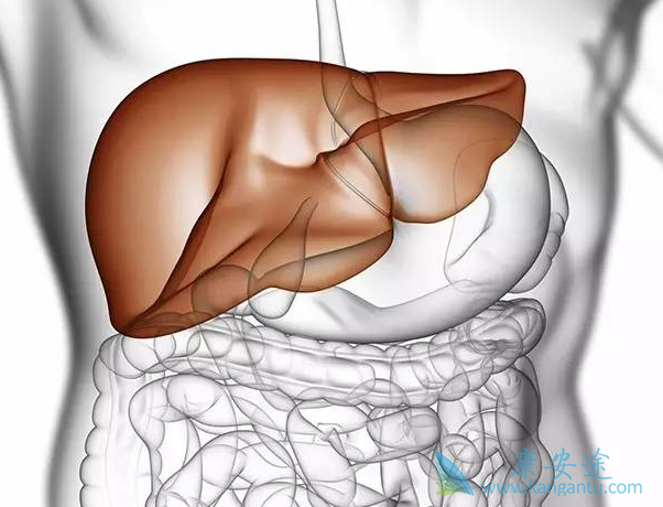 乙肝感染 乙肝感染