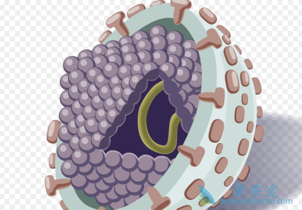 丙肝能治好吗 丙肝能治好吗