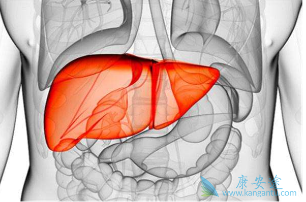 丙肝抗体 丙肝抗体