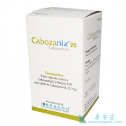 ��������Կ���������ҩ�Ұ���ΰ���ת�Ƶ�NSCLC������Ч