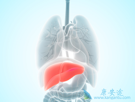 丙肝可以治好吗 丙肝可以治好吗