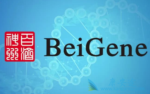 泽布替尼 泽布替尼