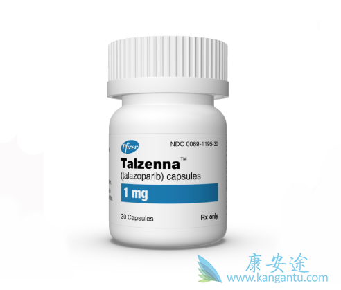 PARP抑制剂 PARP抑制剂