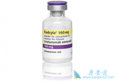 T-DM1���������鵥���������鵥���������Ч���ĸ��ã�