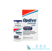 ���������ٰ����߿���ʹ������������