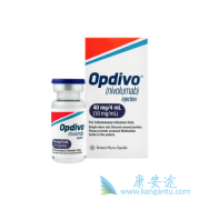 ��������ҩ���������ȵ���​��������Сϸ���ΰ���