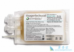 CAR-Tϸ���Ʒ�����Ҫ��������ϸ�����ӷ籩