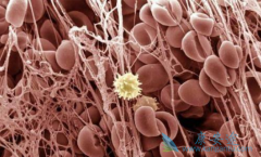 ��ɳ��������ԭ���Թ�����ά������Ч����ȫ����Σ�