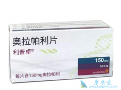 �ѳ��������ٰ����߶����׳���BRCAͻ����