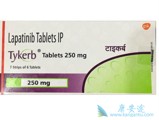 拉帕替尼 拉帕替尼