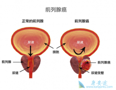 ǰ���ٰ��ܻ��ã�����Щ���Ʒ�����