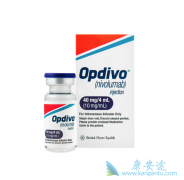 �����Ʒ�Opdivo�������Ƹ�ϸ����������