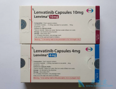 �ΰ������������ط���������