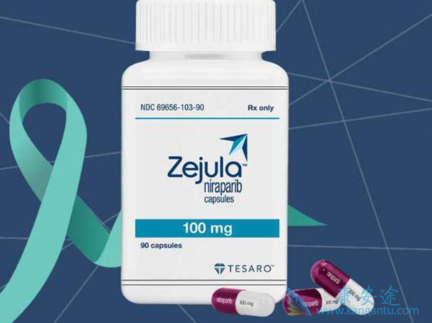 尼拉帕尼 尼拉帕尼