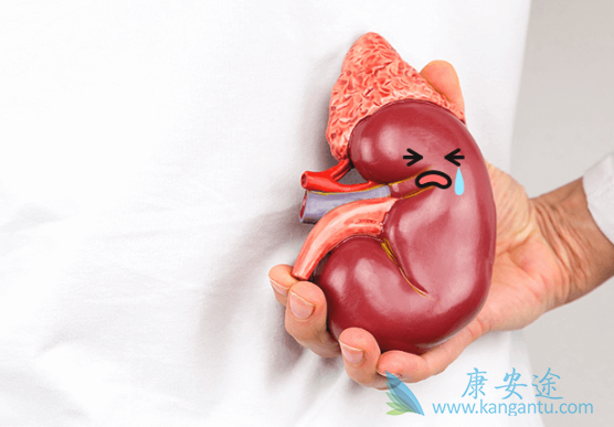 肾癌晚期能活多久 肾癌晚期能活多久