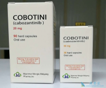 ������������������ڸ�ϸ�������ӳ����ߵ�������