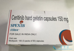 ɫ������(Zykadia)����ҩ��ȫ�Լ����Թ���