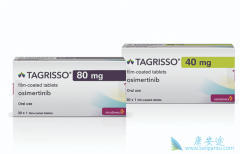 ������EGFR���Ƽ���ϣ���������Ʒΰ���ת�Ƶ��Ƽ�����ҩ����