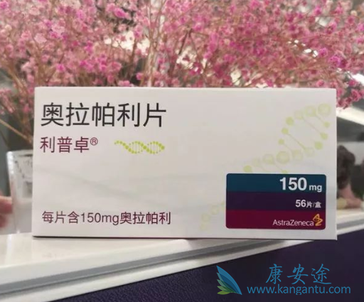 奥拉帕利 奥拉帕利