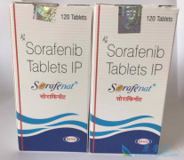 �༪�������ü������