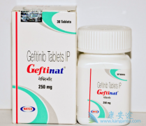 ����ɳ�۸�ӡ�Ȱ汾�ı�����