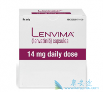 �����ܸ������ձ��ַ�����۸���