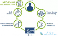 ����������PD1����һ�ο���ʵ��Ӧ��