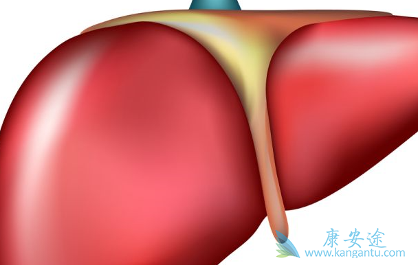 丙肝是什么病 丙肝是什么病