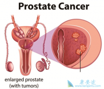 ǰ���ٰ�������ҩ������Щ��