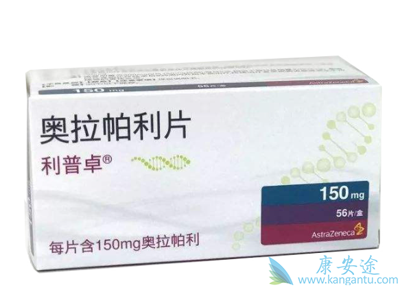 奥拉帕尼说明书 奥拉帕尼说明书