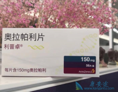 �������ḱ���ô�������Щ���֣�